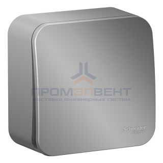 Кнопочный выключатель с самовозвратом (cх.1) Blanca Schneider Electric 10А алюминий изол.пластина