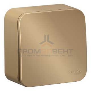 Выключатель 1-клавишный (cх.1) Blanca Schneider Electric 10А 250В титан