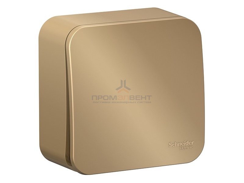 Кнопочный выключатель с самовозвратом (cх.1) Blanca Schneider Electric 10А титан изол.пластина