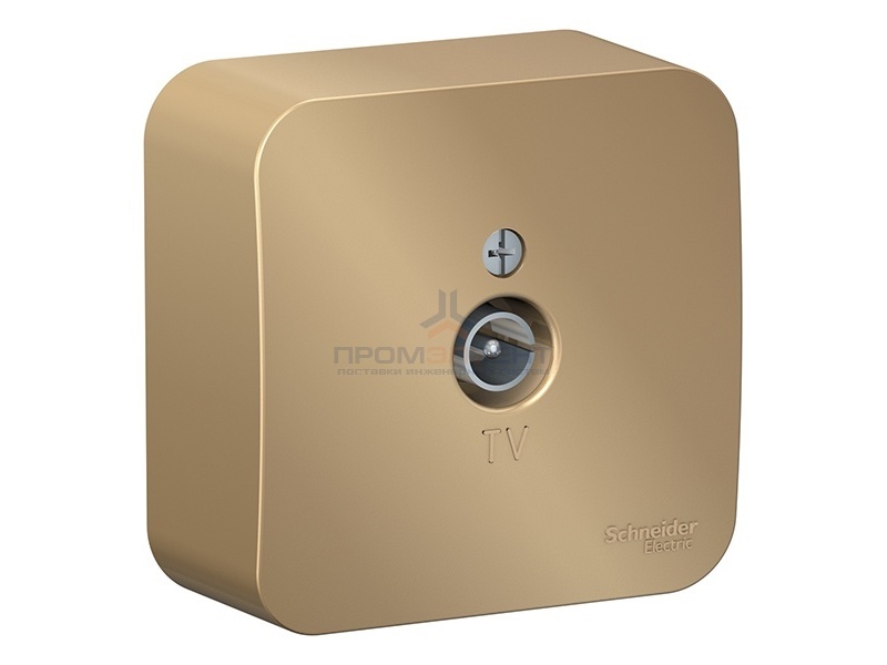 Розетка ТВ Blanca Schneider Electric титан изол.пластина